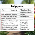 Tulip puns